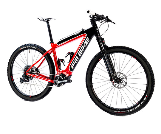 FM-BIKE E-Dual MTB X01