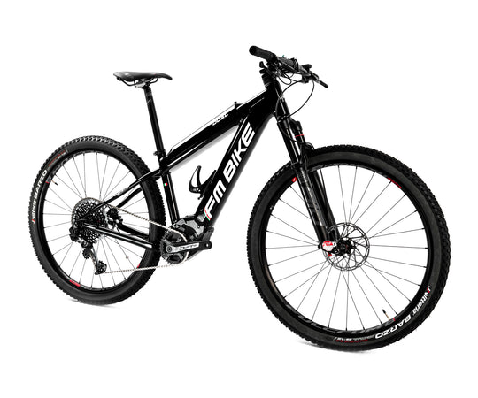 FM-BIKE E-Dual MTB X01