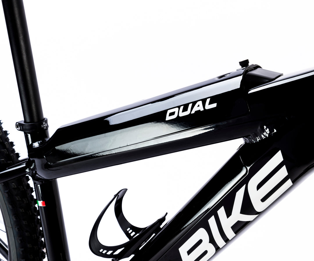 FM-BIKE E-Dual MTB X01