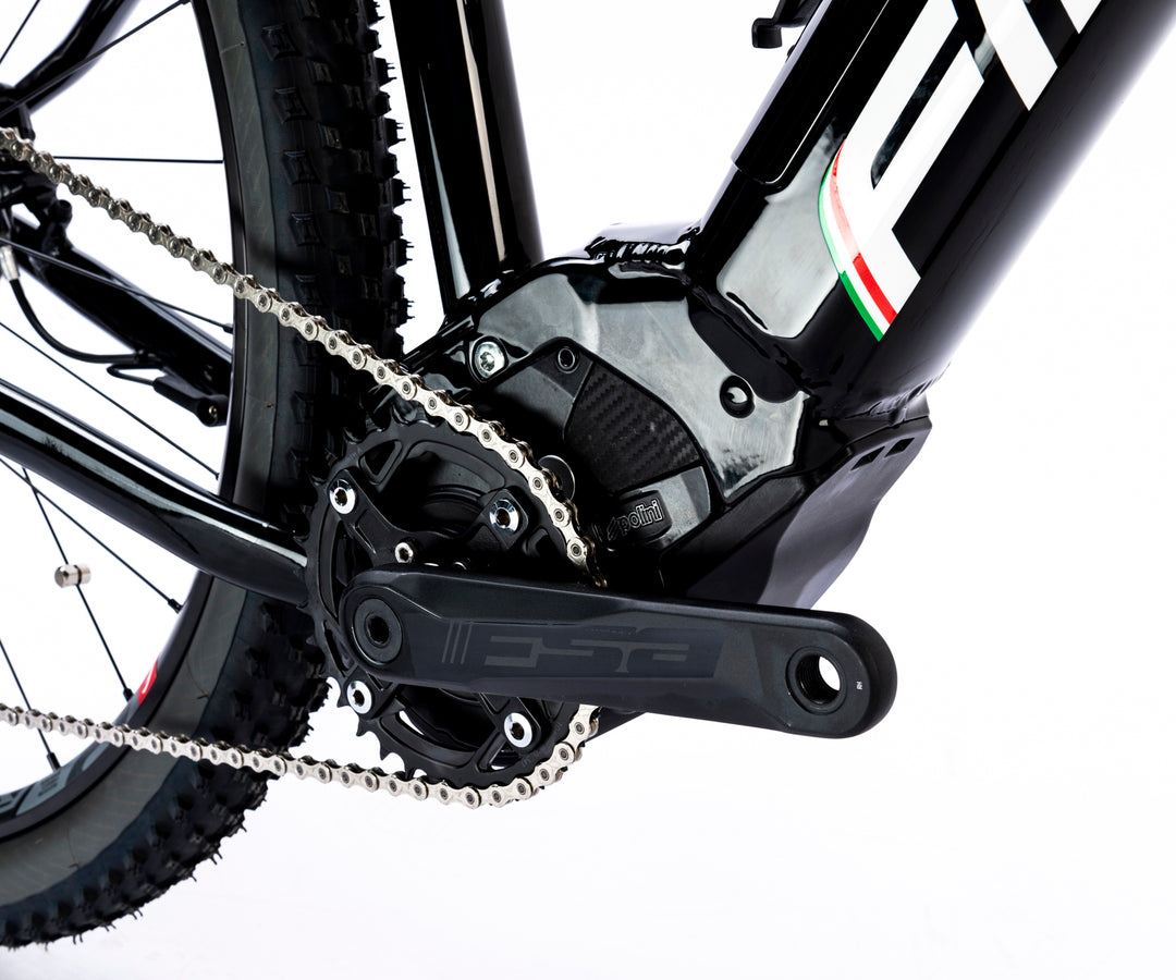 FM-BIKE E-Dual MTB X01