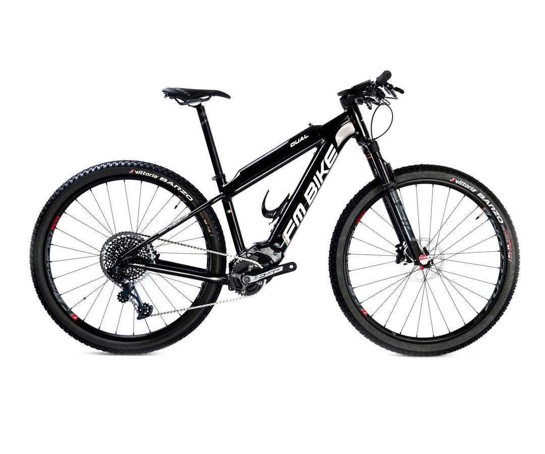 FM-BIKE E-Dual MTB X01