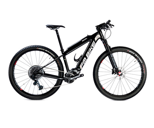 FM-BIKE E-Dual MTB X01
