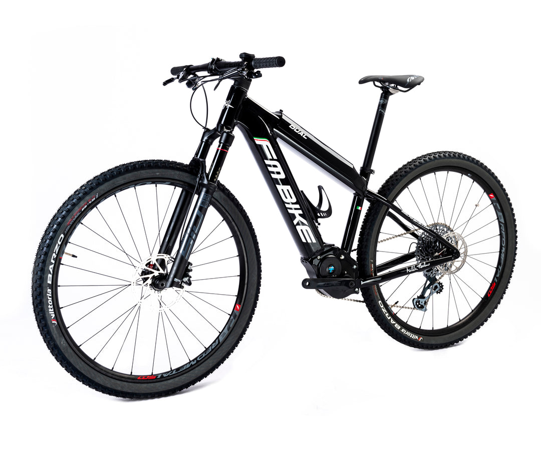 FM-BIKE E-Dual MTB X01