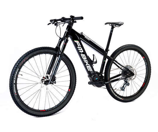 FM-BIKE E-Dual MTB X01