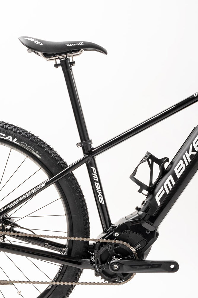 FM-BIKE Vulcan sram sx
