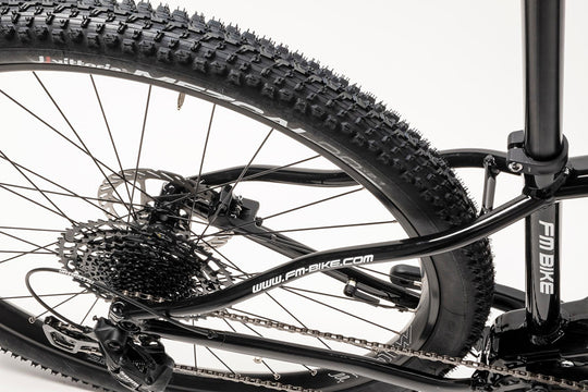 FM-BIKE Vulcan sram sx