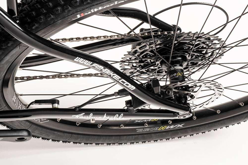 FM-BIKE Vulcan sram sx