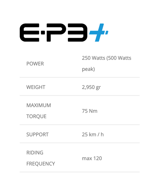 CIOCC Thor cx gravel carbon campagnolo ekar