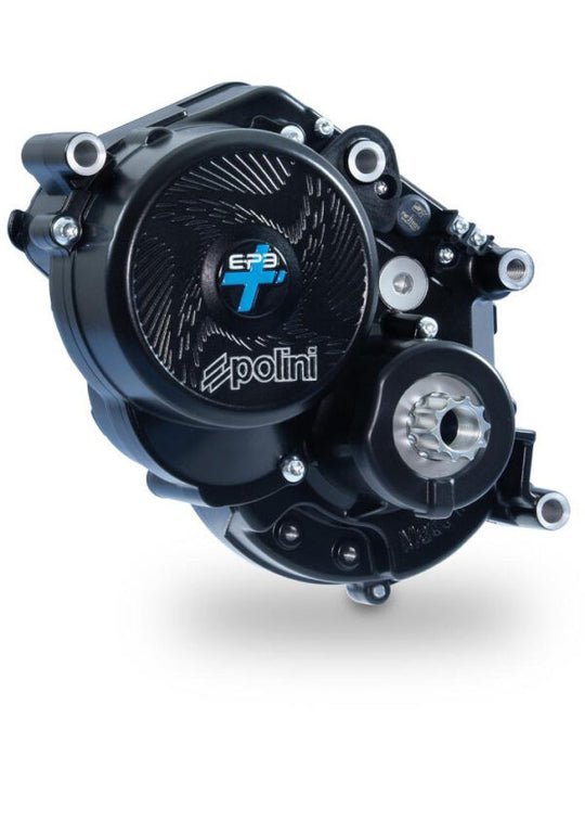 CIOCC Thor cx gravel carbon campagnolo ekar